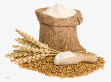 Wheat Png Image, Transparent Png, Free Download