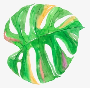 Leaf Watercolor Painting Canvas - Watercolor Tropical Leaf Png, Transparent Png, Free Download