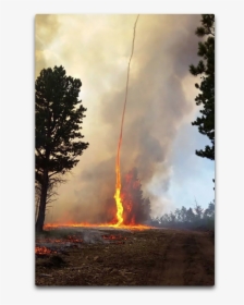 Firedog - Fire Tornado Colorado, HD Png Download, Free Download