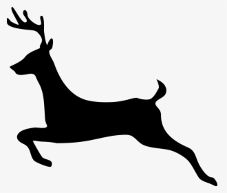 Transparent Deer Head Png - Deer Clip Art, Png Download, Free Download