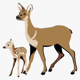 Transparent Deer Silhouette Png - White Tailed Deer Clipart, Png Download, Free Download