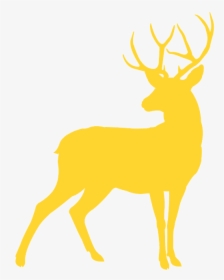 Reindeer Buck Deer Silhouette, HD Png Download, Free Download