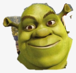 Shrek Face Zoomed Up Meme - Shrek Png, Transparent Png - kindpng