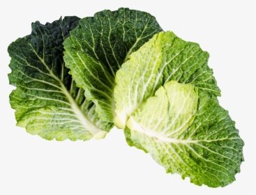 Kale Png Image, Transparent Png, Free Download