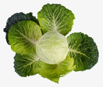 Kale Png Image, Transparent Png, Free Download