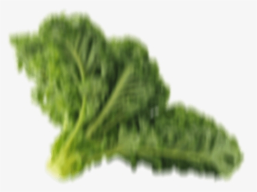 Goodnature Our New Herbivore - Kale, HD Png Download, Free Download