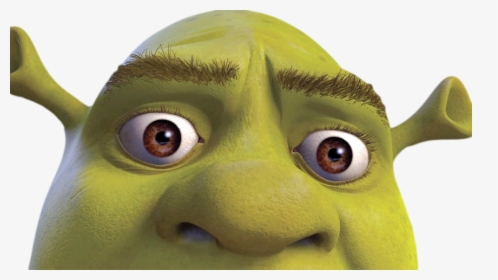 Shrek Onion Memes Hd Png Download Kindpng