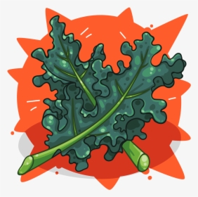 Curly Kale , Png Download, Transparent Png, Free Download