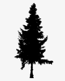 Pine Trees Silhouette Png - Tree Silhouette Vector Png, Transparent Png, Free Download