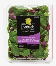 Fresh Attitude Baby Kale Blend 5oz Product - Spinach, HD Png Download, Free Download