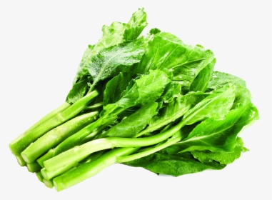 Kale Transparent Lettuce - Mustard Greens Png, Png Download, Free Download