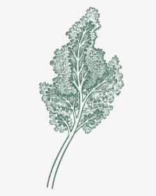 Illustration, HD Png Download, Free Download