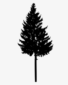 Tree, HD Png Download, Free Download