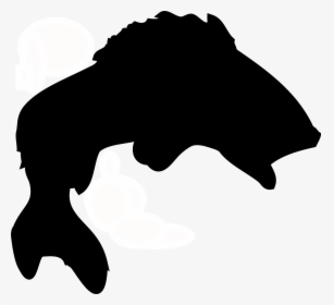 Fish, Silhouette - - Bass Fish Clipart Black, HD Png Download, Free Download