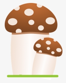 Mushrooms, Fungus, Forest, Gnome, Elf, Mycology - Pleurotus Eryngii, HD Png Download, Free Download