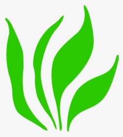 Grass Png Icon, Transparent Png, Free Download