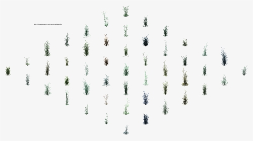 Hjm Grasses 2 Alpha - Christmas Tree, HD Png Download, Free Download