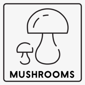 Mushroom, HD Png Download, Free Download