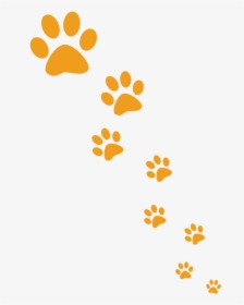 It"s A Journey Of Self-discovery - Orange Paw Prints Png, Transparent Png, Free Download