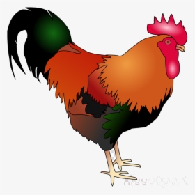 Chicken Rooster Bird Transparent Image Clipart Free - Chicken Rooster Clipart, HD Png Download, Free Download
