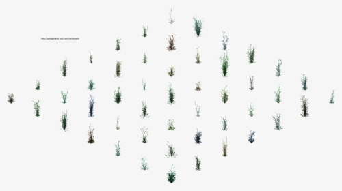 Hjm Grasses 1 Alpha - Tree, HD Png Download, Free Download