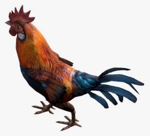 Rooster - Transparent Rooster Png, Png Download, Free Download