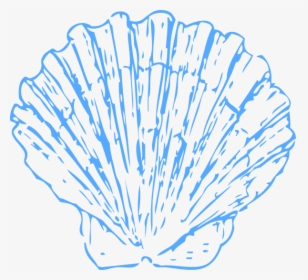 Shell Svg Clip Arts - Shell Line Drawing, HD Png Download, Free Download