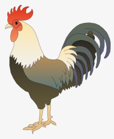 Clipart Rooster - Clipart Images Of Rooster, HD Png Download, Free Download