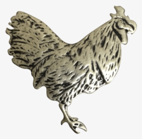 Rooster, HD Png Download, Free Download