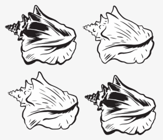 Transparent Shell Clipart Black And White - Conch Shell Png Vector, Png Download, Free Download