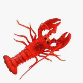 Lobster Png Free Pic - Lobster, Transparent Png, Free Download
