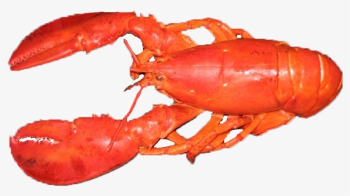 Lobster Png Cooked - Seafood Boil, Transparent Png, Free Download
