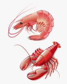 Seafood Homarus Cooking Red Lobster Clip Art - Shrimp Vector Free Download, HD Png Download, Free Download