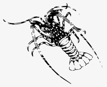 Corporate Icon Jpg File Kaiar Tropical Rock Lobster - Illustration, HD Png Download, Free Download