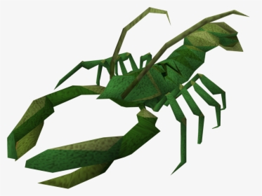 The Runescape Wiki - Giant Lobster Png, Transparent Png, Free Download