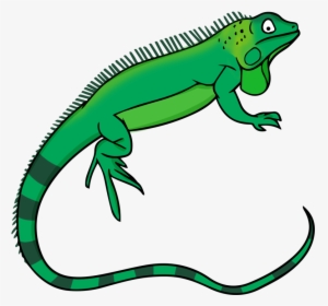 Transparent Lizard Png - Iguana Clipart Png, Png Download, Free Download