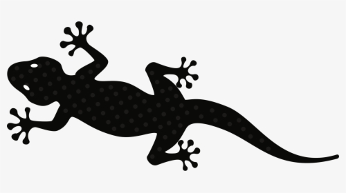 Black And White Gecko Lizard Clipart - Gecko Clip Art, HD Png Download, Free Download