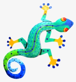 Gecko Clipart Baby - Gecko Clipart, HD Png Download, Free Download