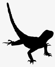 Iguania, HD Png Download, Free Download