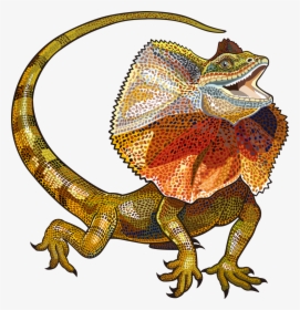 Lizard Vector Free Download Image Clipart - Frill Neck Lizard Drawing, HD Png Download, Free Download