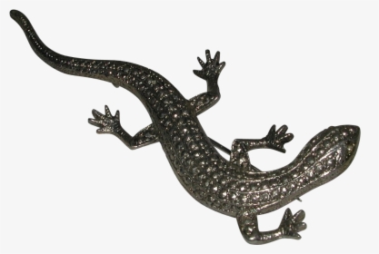 Lizard Transparent Background - Lizard With No Background, HD Png Download, Free Download
