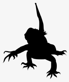 Frog, HD Png Download, Free Download