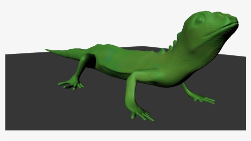 Transparent Geico Gecko Clipart - Carolina Anole, HD Png Download, Free Download