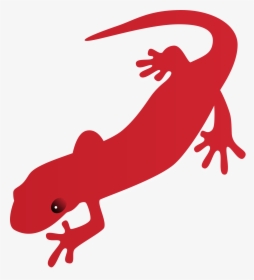 Lizard Clipart Drawn For Free Download And Use In Presentations - Salamander Clipart, HD Png Download, Free Download