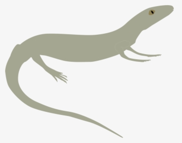 Reptile,vertebrate,tail - Monitor Lizard, HD Png Download, Free Download