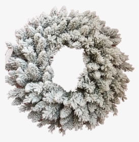 24 - White Christmas Wreath Png, Transparent Png, Free Download