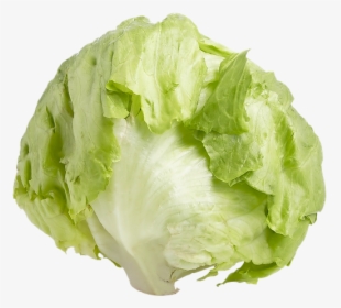 Romaine Lettuce Iceberg Lettuce Endive Leaf Vegetable - Iceberg Lettuce Png, Transparent Png, Free Download