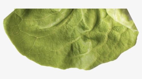 Preview - Placemat, HD Png Download, Free Download