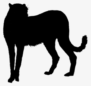 Whiskers Black Cat Black Panther Gif - Dog, HD Png Download, Free Download