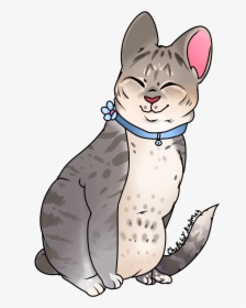 Totoro The Cat - Cat Yawns, HD Png Download, Free Download